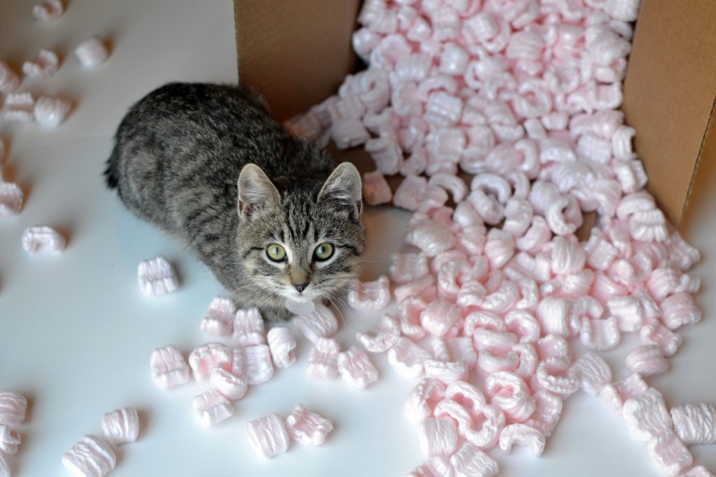 Moving with Pets Pittsburgh